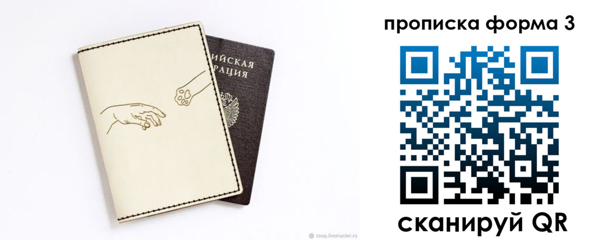 где прописаться в Советской Гавани